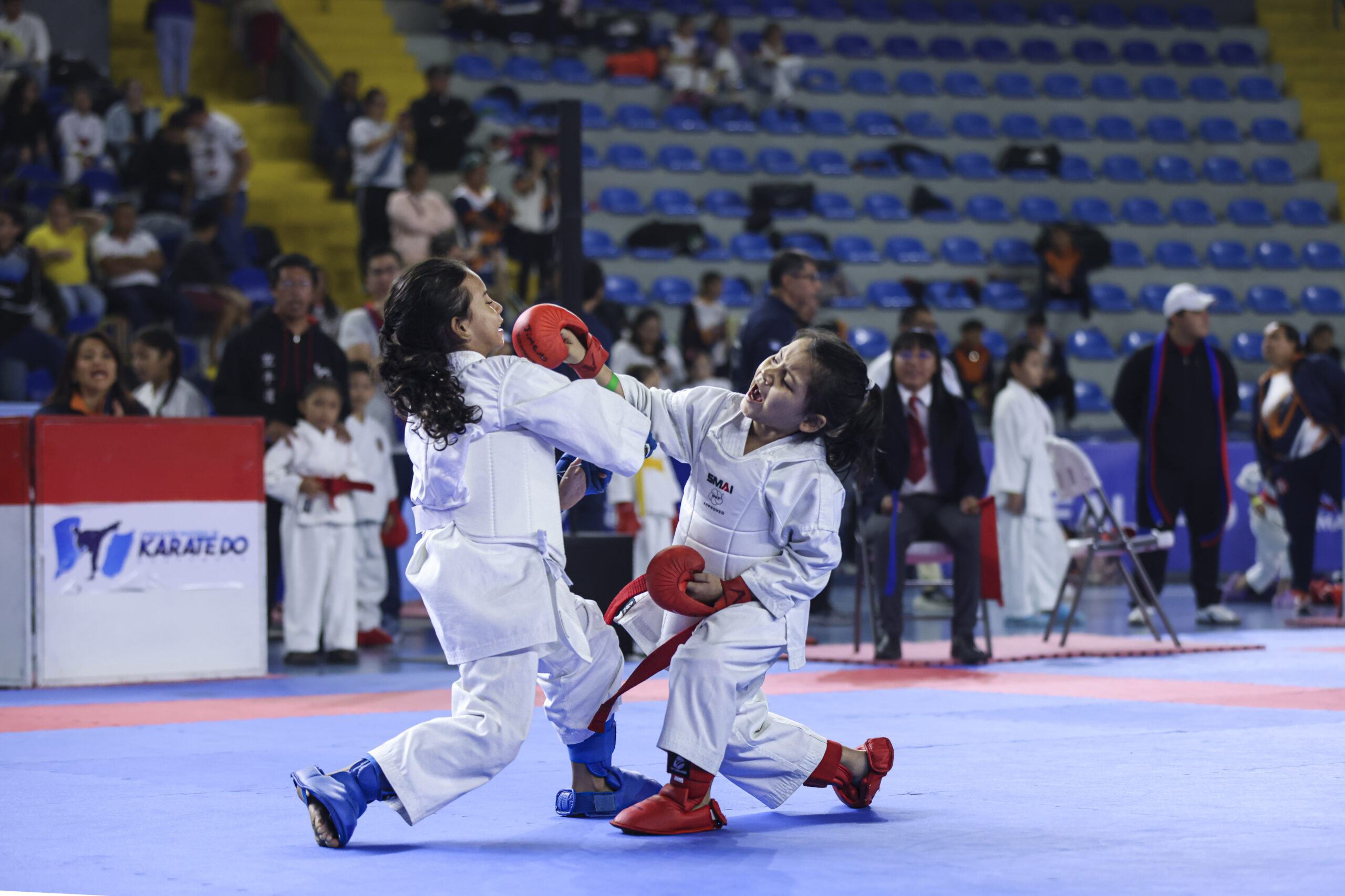 Karate Do